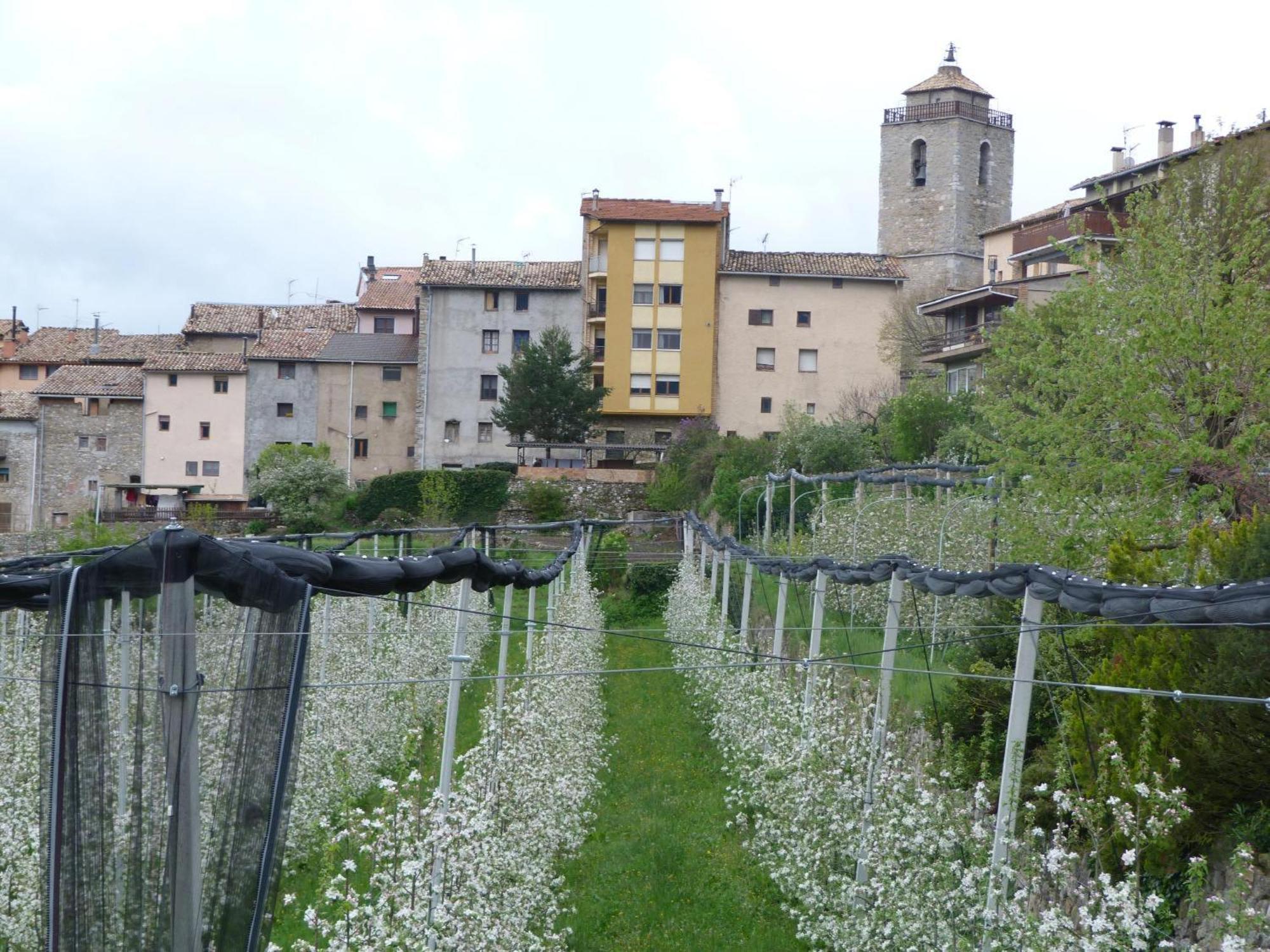 El Vall San Lorenzo de Morunys Luaran gambar